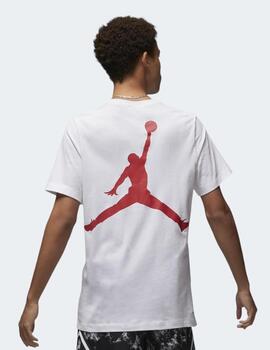 Camiseta Jordan Sport con estampado blanca hombre
