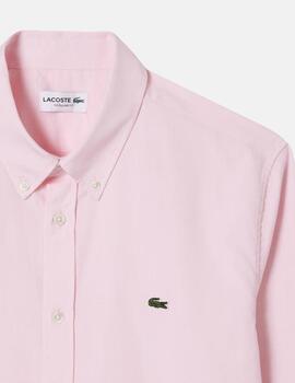 Camisa Lacoste larga rosa para hombre